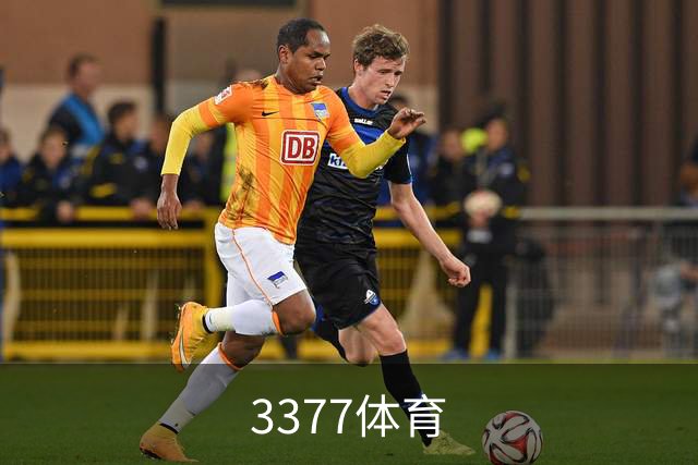 关于3377体育